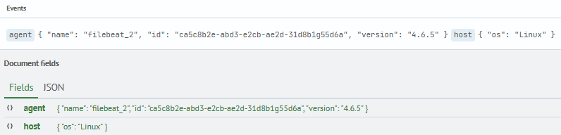 Query_Result_for_the_First_Wildcard_Example