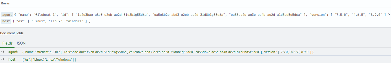 Query_Result_for_the_Second_Wildcard_Example
